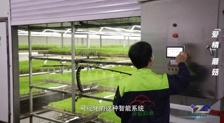 我有一根“蘑”法棒丨科創(chuàng)Z世代 人工智能基礎(chǔ)軟件開(kāi)發(fā)