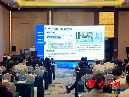 菏澤化工新材料產業 凝聚行業力量，技術驅動高質量發展